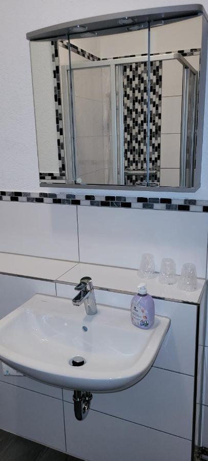 Zentral Und Ruhig In Auerbach Apartment เอาไอบาค ภายนอก รูปภาพ